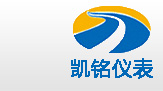 金湖红杏首页视频仪表有限公司LOGO